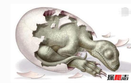 世界上最古老蛋，2.8亿年前的史前恐龙蛋(史前恐