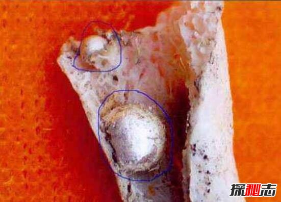 舍利子是什么东西,舍利子是什么样子的(图片