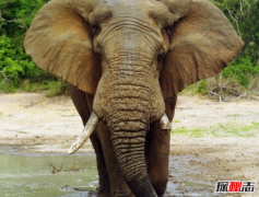 世界上十大最奇葩的法律,第五条逼你不得不爱干