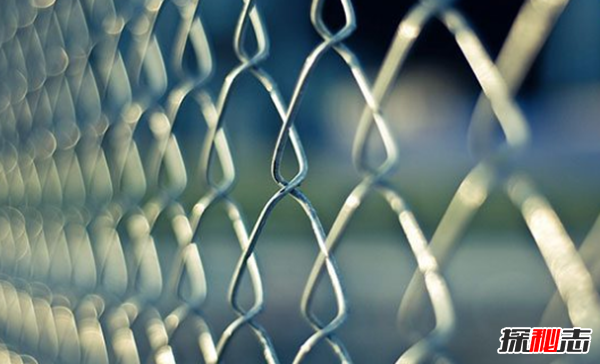 真实的愚蠢罪犯故事,盘点史上最惨的十大罪犯