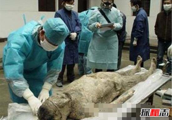 成都考古发现貂蝉墓，貂蝉死后遭人奸尸(体内有