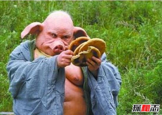 猪八戒墓在哪里,河南洛阳发现猪八戒陵墓(真实