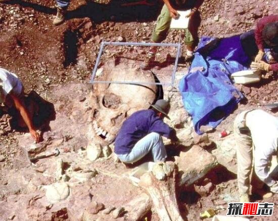 考古界不敢公开的秘密,考古发现5米巨人遗骸吓