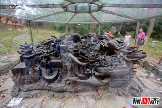 盗墓笔记九龙抬尸棺,东夏国万奴王的巨型蚰蜓