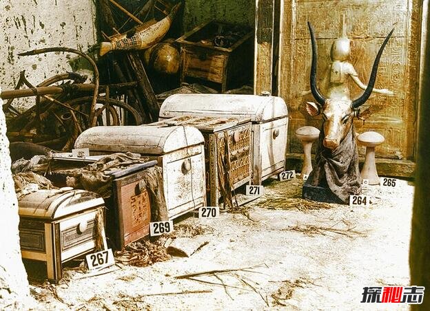 金字塔闯入者必死之谜:金字塔进去的人都死了(致命病菌)