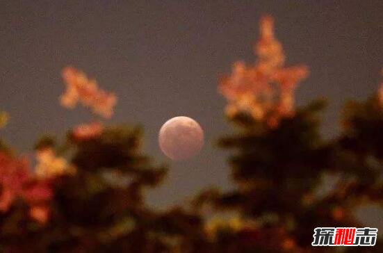 超级月亮是什么?超级月亮2018什么时候(1月31日