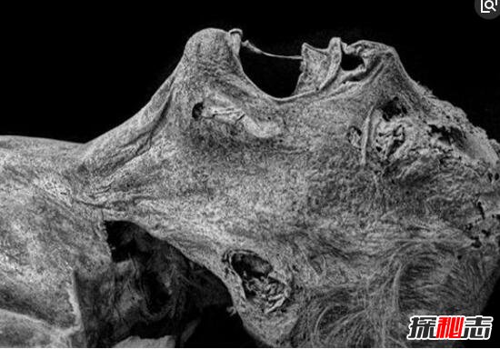 中国广西神秘干尸之谜,工地惊现不腐干尸(防腐