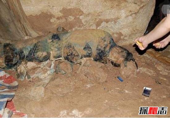 中国广西神秘干尸之谜,工地惊现不腐干尸(防腐