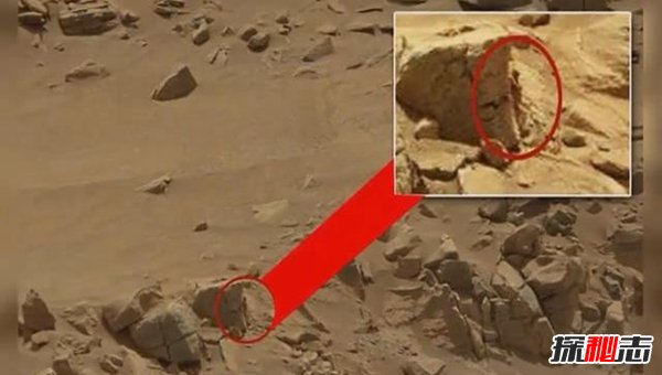 nasa公布外星人,六大证据表明外星人的存在(有图有真相)