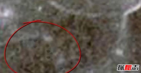 nasa公布外星人,六大证据表明外星人的存在(有图有真相)